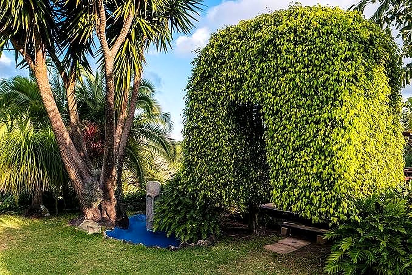 Lush subtropical gardens with palms and a leafy topiary arch